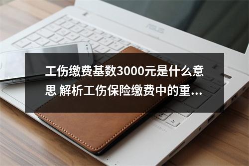 工伤缴费基数3000元是什么意思 解析工伤保险缴费中的重要概念
