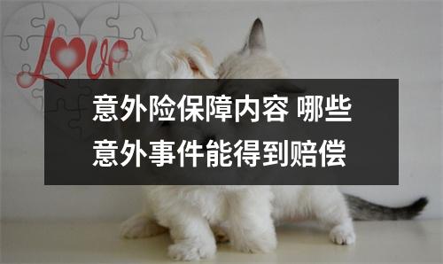 意外险保障内容 哪些意外事件能得到赔偿 