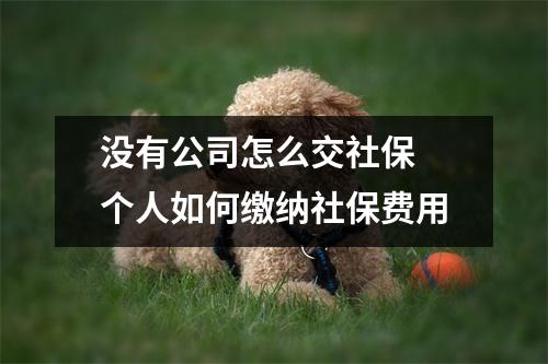 没有公司怎么交社保 个人如何缴纳社保费用