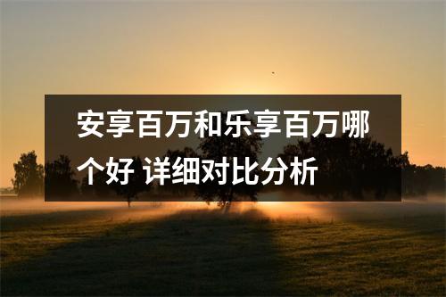 安享百万和乐享百万哪个好 详细对比分析