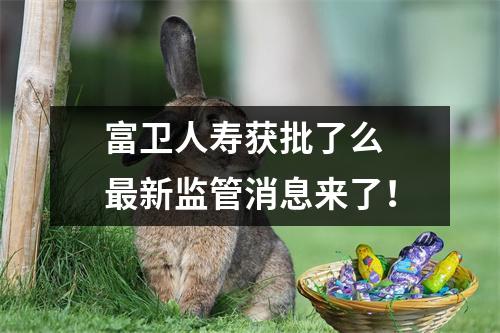 富卫人寿获批了么 最新监管消息来了！