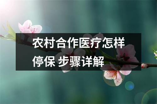 农村合作医疗怎样停保 步骤详解