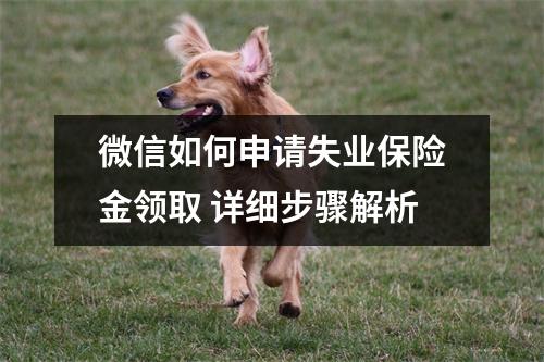 微信如何申请失业保险金领取 详细步骤解析