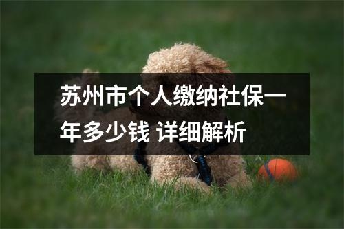 苏州市个人缴纳社保一年多少钱 详细解析