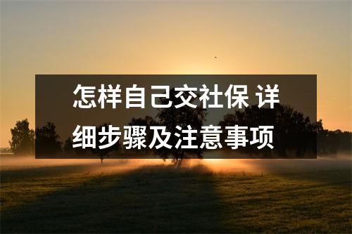 怎样自己交社保 详细步骤及注意事项