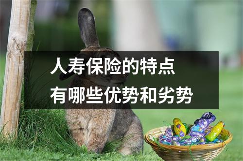 人寿保险的特点 有哪些优势和劣势