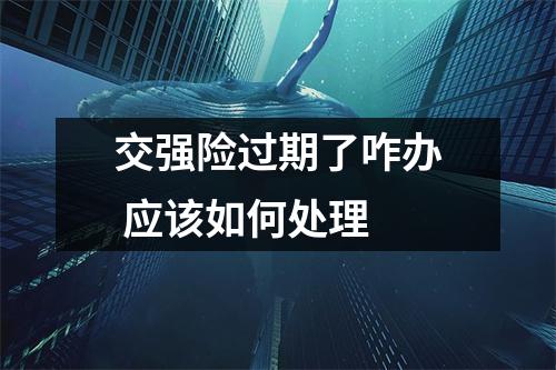 交强险过期了咋办 应该如何处理