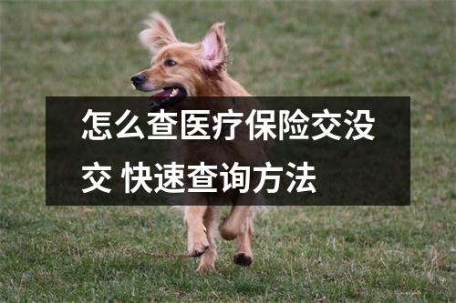 怎么查医疗保险交没交 快速查询方法