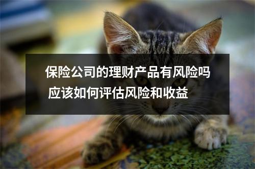 保险公司的理财产品有风险吗 应该如何评估风险和收益