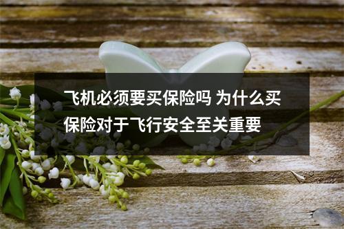 飞机必须要买保险吗 为什么买保险对于飞行安全至关重要 