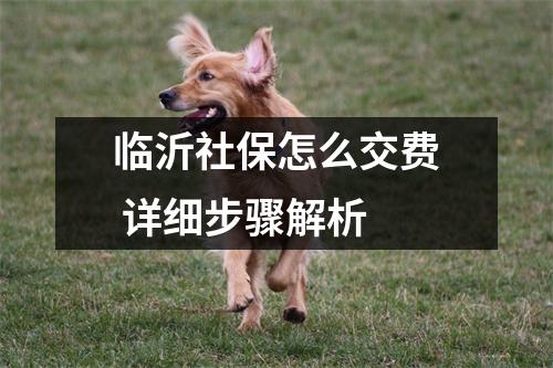 临沂社保怎么交费 详细步骤解析