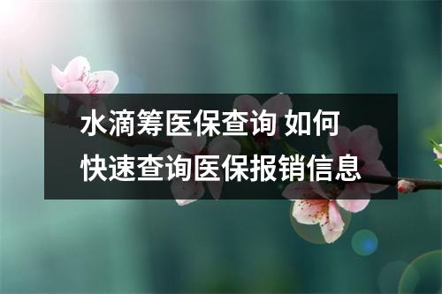 水滴筹医保查询 如何快速查询医保报销信息