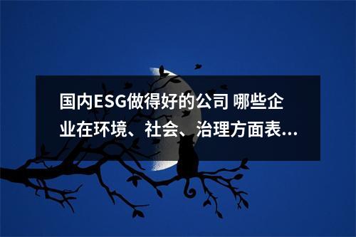 国内ESG做得好的公司 哪些企业在环境、社会、治理方面表现突出 