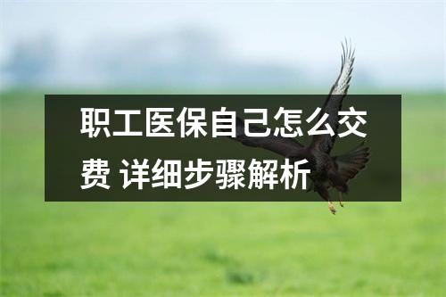 职工医保自己怎么交费 详细步骤解析