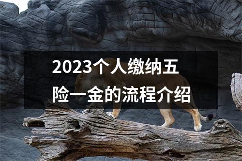 2023个人缴纳五险一金的流程介绍
