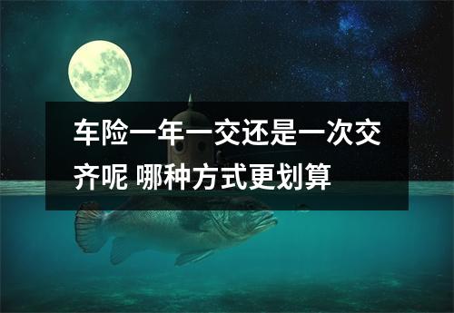 车险一年一交还是一次交齐呢 哪种方式更划算