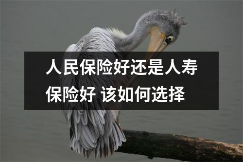 人民保险好还是人寿保险好 该如何选择