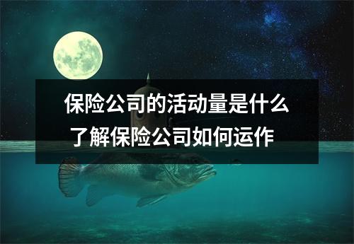 保险公司的活动量是什么 了解保险公司如何运作