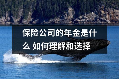 保险公司的年金是什么 如何理解和选择