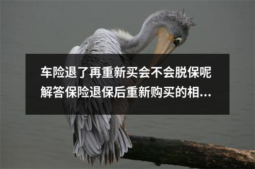车险退了再重新买会不会脱保呢 解答保险退保后重新购买的相关问题