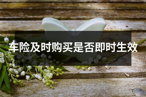 车险及时购买是否即时生效