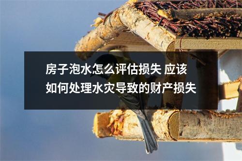 房子泡水怎么评估损失 应该如何处理水灾导致的财产损失