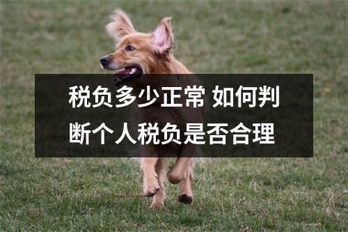 税负多少正常 如何判断个人税负是否合理