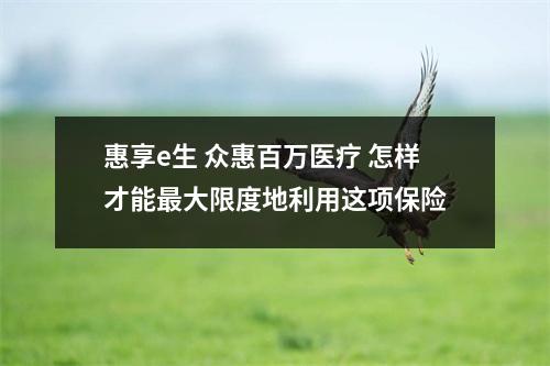 惠享e生 众惠百万医疗 怎样才能最大限度地利用这项保险