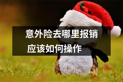 意外险去哪里报销 应该如何操作