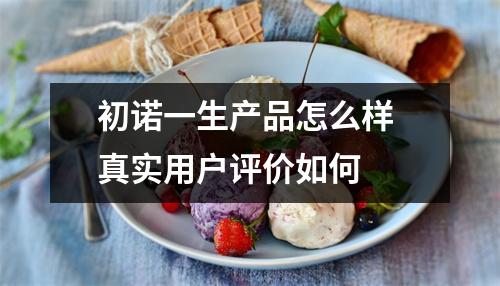 初诺一生产品怎么样 真实用户评价如何
