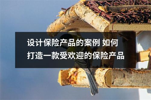 设计保险产品的案例 如何打造一款受欢迎的保险产品