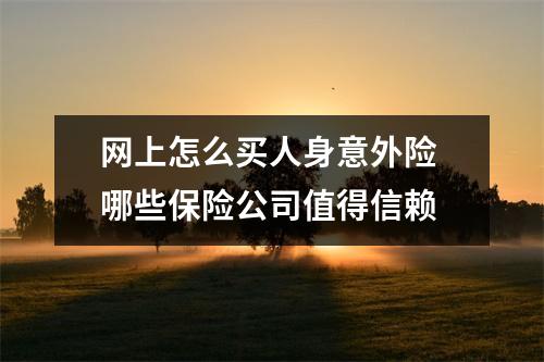 网上怎么买人身意外险 哪些保险公司值得信赖