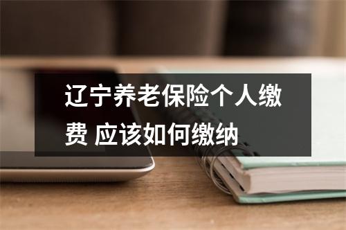 辽宁养老保险个人缴费 应该如何缴纳 