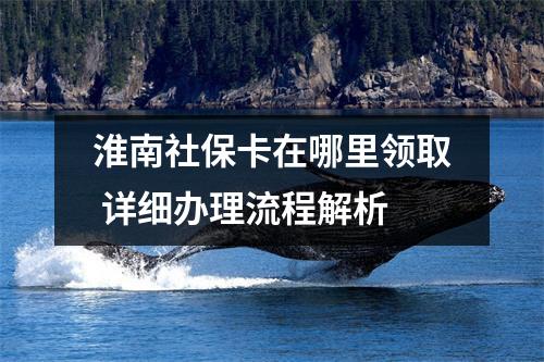 淮南社保卡在哪里领取 详细办理流程解析