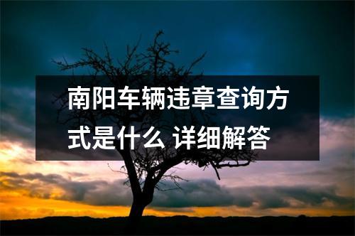 南阳车辆违章查询方式是什么 详细解答