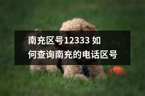 南充区号12333 如何查询南充的电话区号