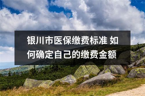 银川市医保缴费标准 如何确定自己的缴费金额