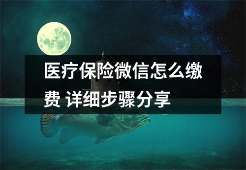医疗保险微信怎么缴费 详细步骤分享