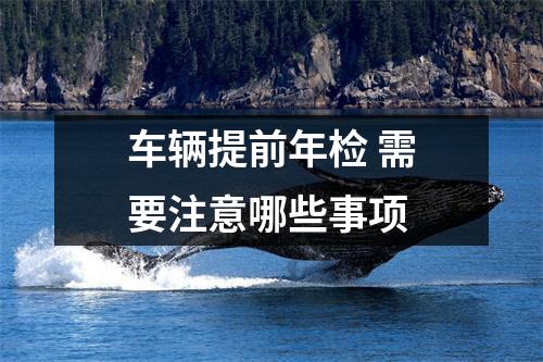 车辆提前年检 需要注意哪些事项