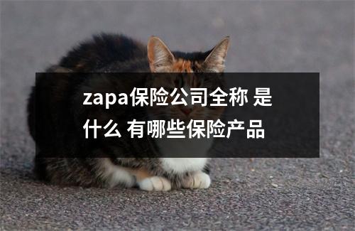 zapa保险公司全称 是什么 有哪些保险产品 