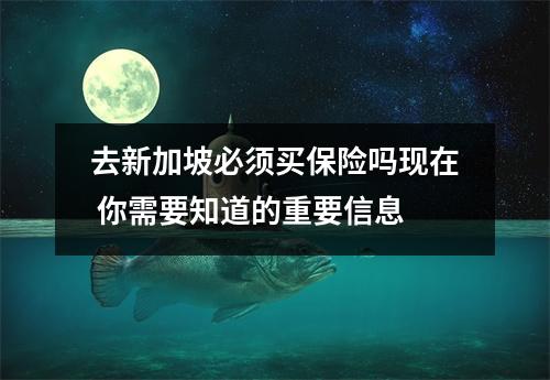 去新加坡必须买保险吗现在 你需要知道的重要信息
