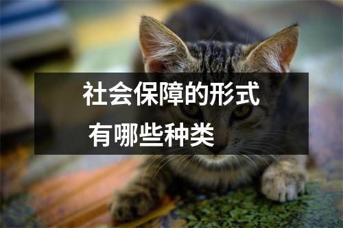 社会保障的形式 有哪些种类