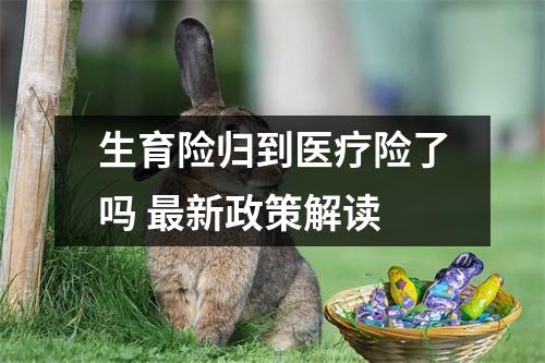 生育险归到医疗险了吗 最新政策解读