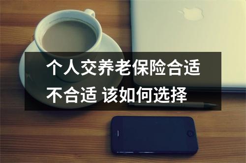 个人交养老保险合适不合适 该如何选择