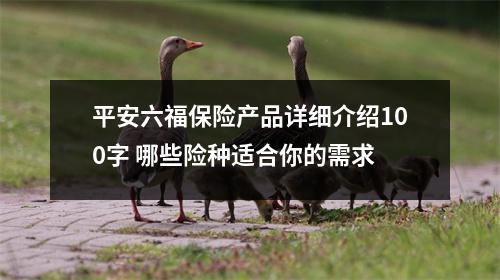 平安六福保险产品详细介绍100字 哪些险种适合你的需求