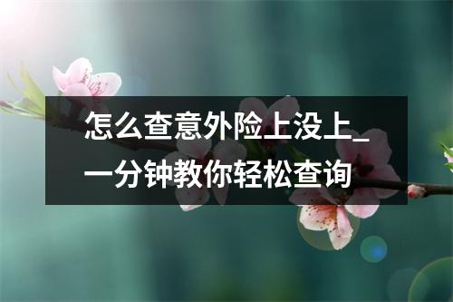 怎么查意外险上没上_一分钟教你轻松查询