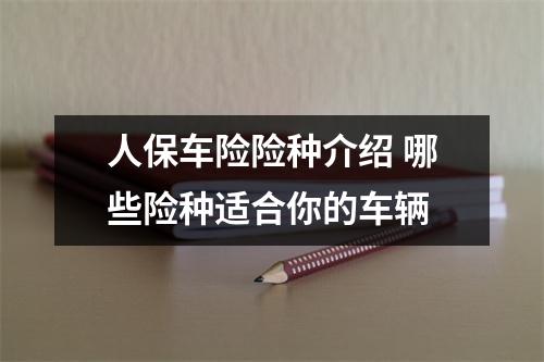 人保车险险种介绍 哪些险种适合你的车辆
