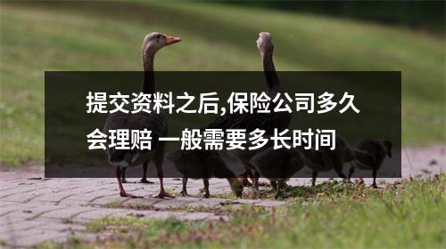 提交资料之后,保险公司多久会理赔 一般需要多长时间