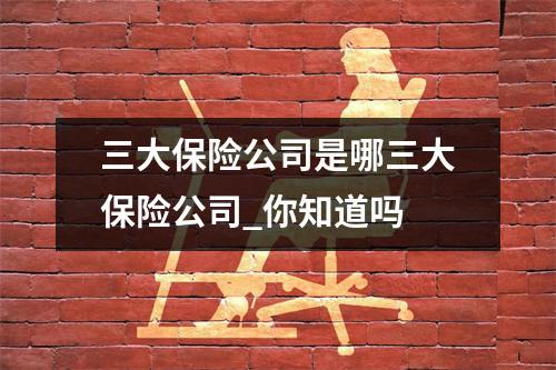 三大保险公司是哪三大保险公司_你知道吗