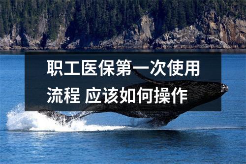 职工医保第一次使用流程 应该如何操作